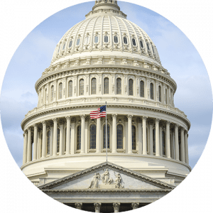 business-telecom-provider-image-Close-up of the top of the Capitol building