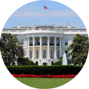 the white house