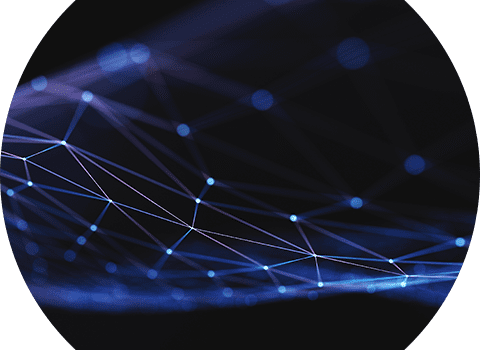 illuminated network of lights