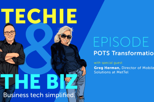 Video Podcast Techie and the Biz POTS Transformation