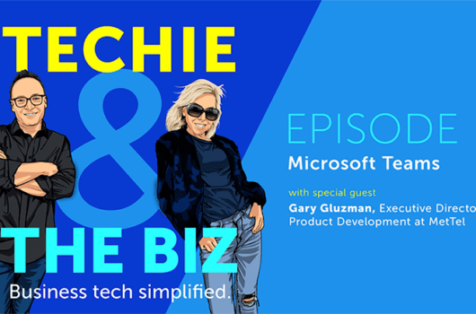 Techie and the Biz