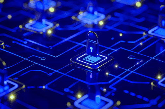 Zero Trust Network Access